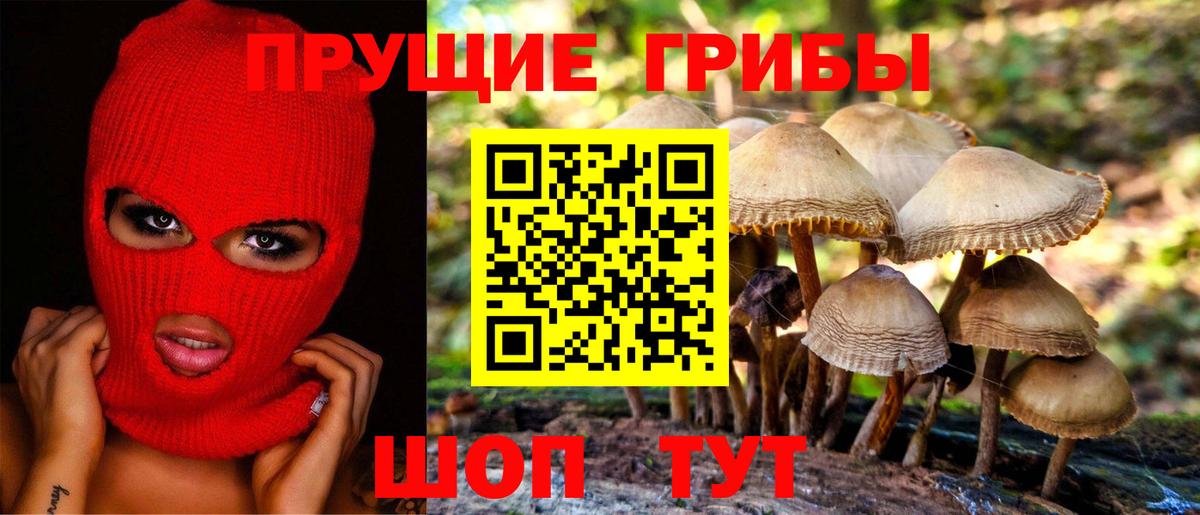 Галлюциногенные грибы GOLDEN TEACHER  Вход с VPN  Дзержинский  Галлюциногенные грибы мицелий 