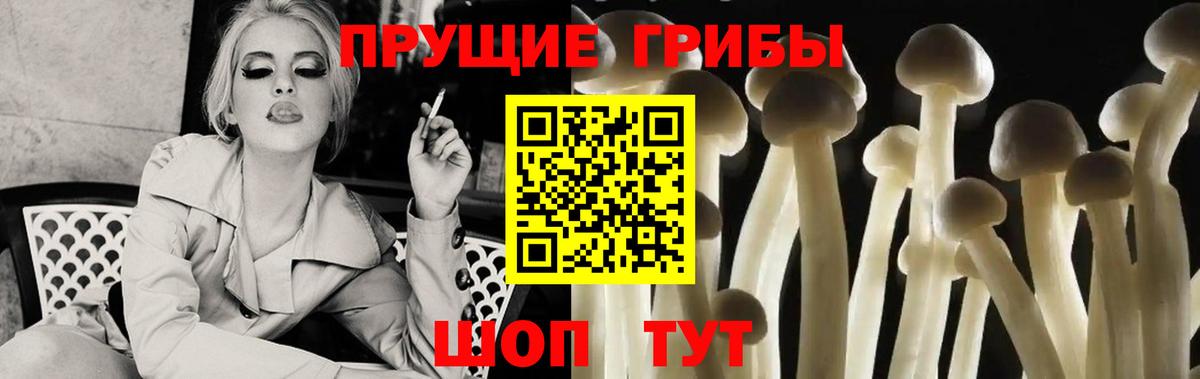 Псилоцибиновые грибы прущие грибы Дзержинский